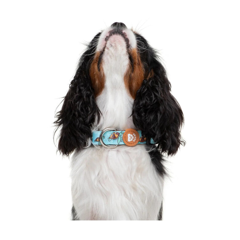 Dukier Collar Estampado Tortugas para perros, , large image number null